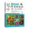 公园路边野菜轻松识：一眼认出食用野菜