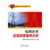 电网企业应急救援系列丛书 电网企业应急救援案例分析