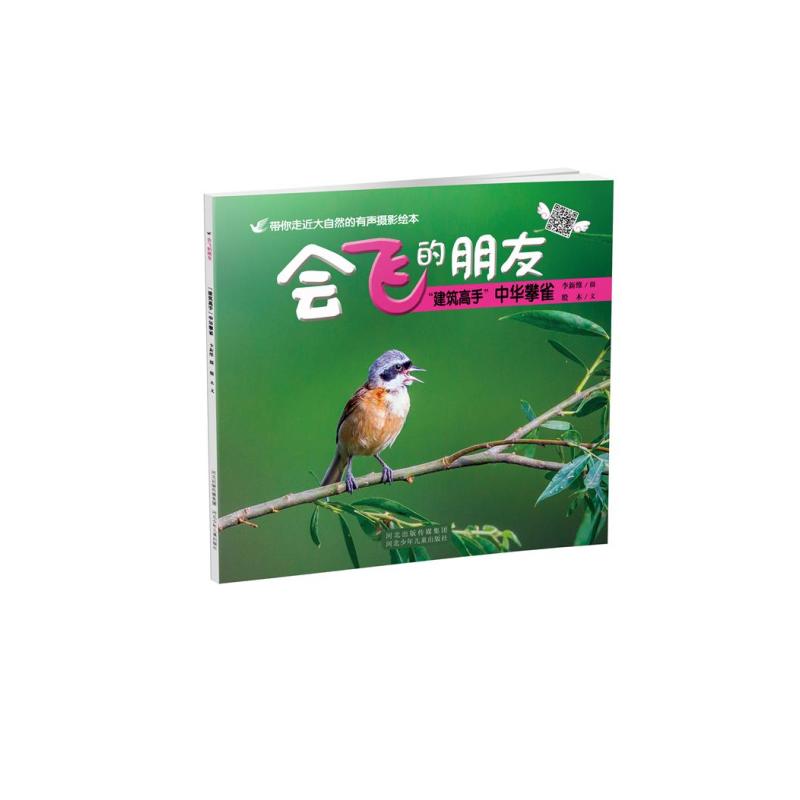 “建筑高手”中华攀雀