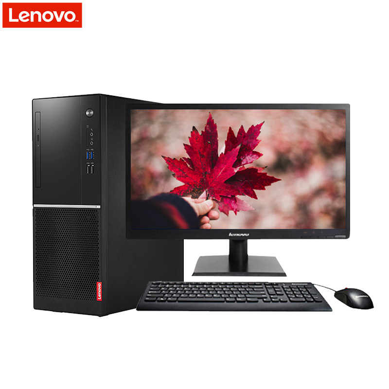 联想(Lenovo)扬天商用M2601k 台式电脑 20.7WLED（G3930 4G 500G 无光驱 集显 W10）