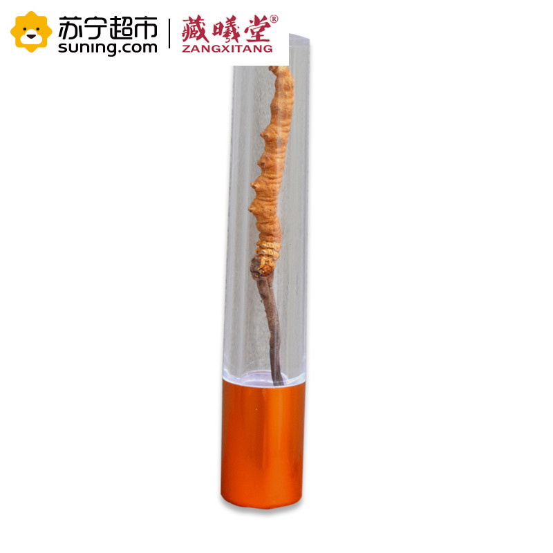 藏曦堂 冬虫夏草 西藏那曲虫草2根1克 高海拔虫草 冬虫夏草 2根1克 内装10g