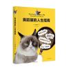 臭脸猫的人生指南