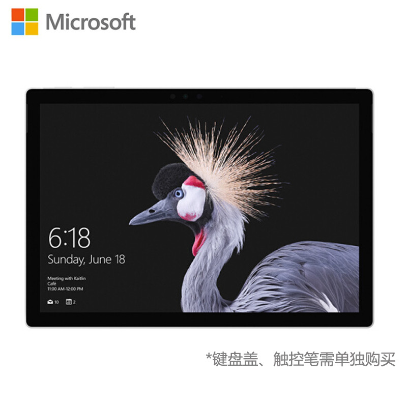 微软（Microsoft）新Surface Pro 平板电脑 神州网信政府版12.3英寸（M3 4G内存 128G）
