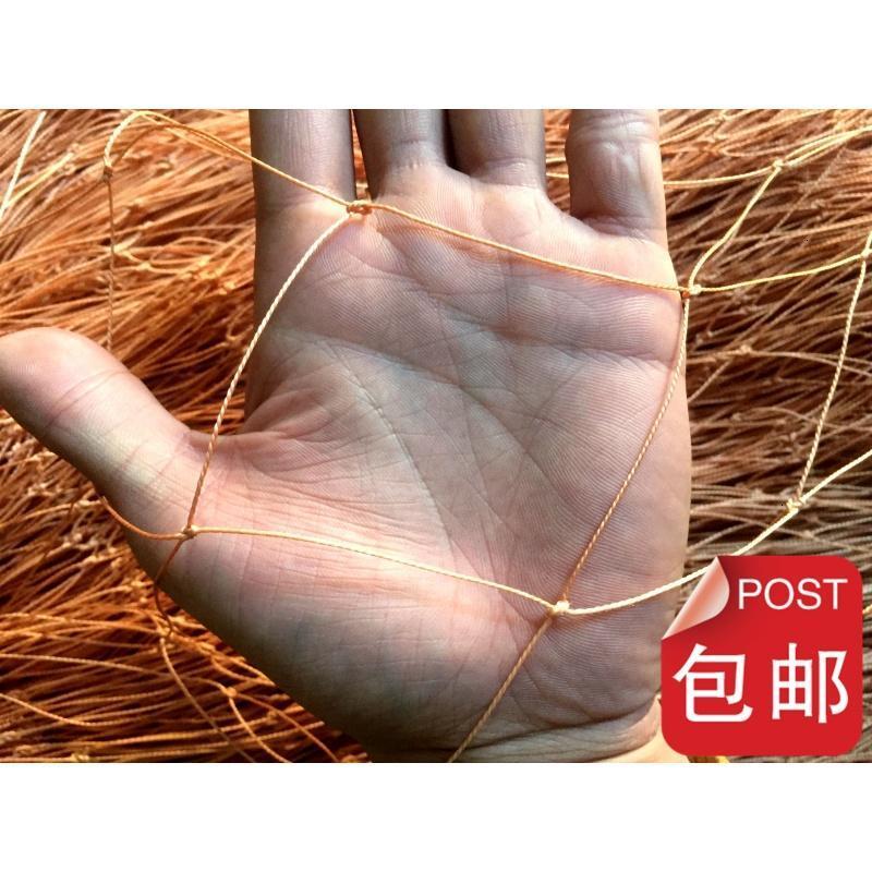 洋子（YangZi）保护野鸡网野兔网拦鹰网轮胎线网养殖网（Y5.5）_1 轮胎线4x20米