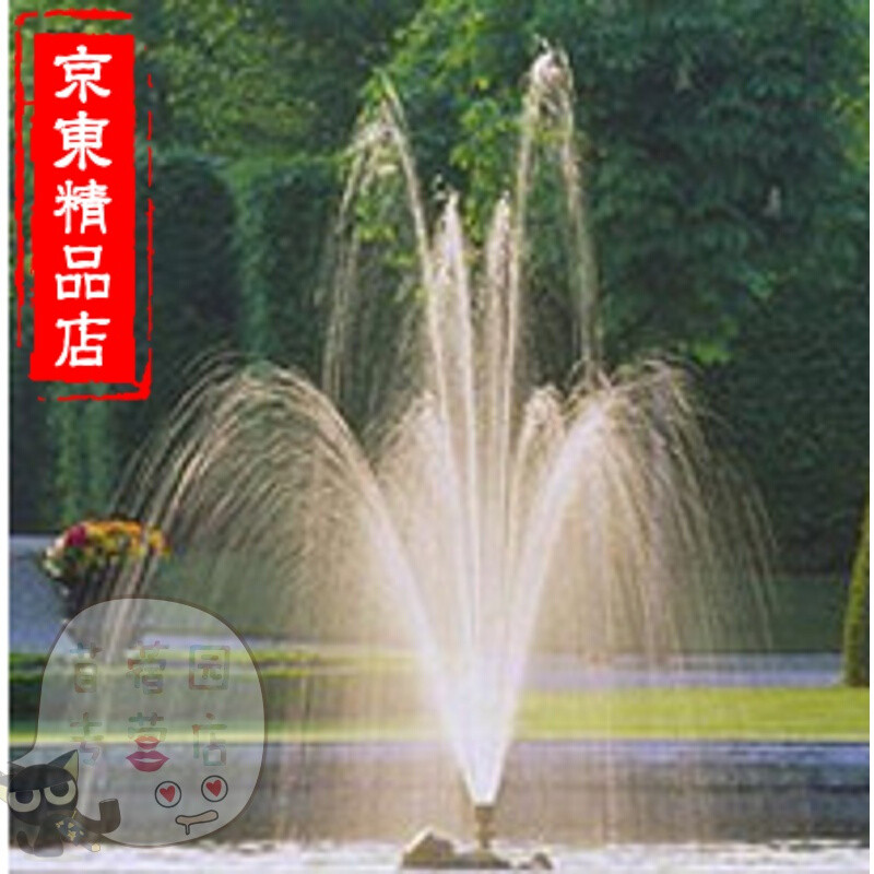 洋子（YangZi）家装4分全铜礼花柱喷头园艺水景景观鱼池喷泉喷头莲蓬喷头水池喷水器_1 6分