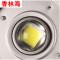 洋子（YangZi）LED工矿灯室内篮球场羽毛球馆乒乓球照明灯游泳馆体育馆专用吊灯_1 30W正白光(进口LED芯片)