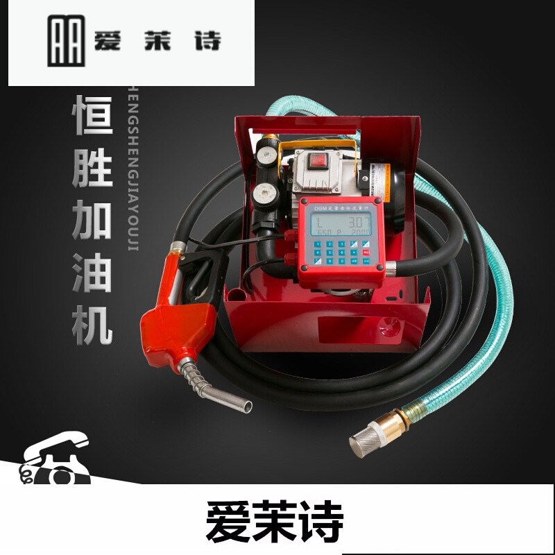 洋子（YangZi）新升级电子定量计价加油泵总成电动抽油泵12V24V220V加油机_1 加200配齿轮泵(可抽机油)