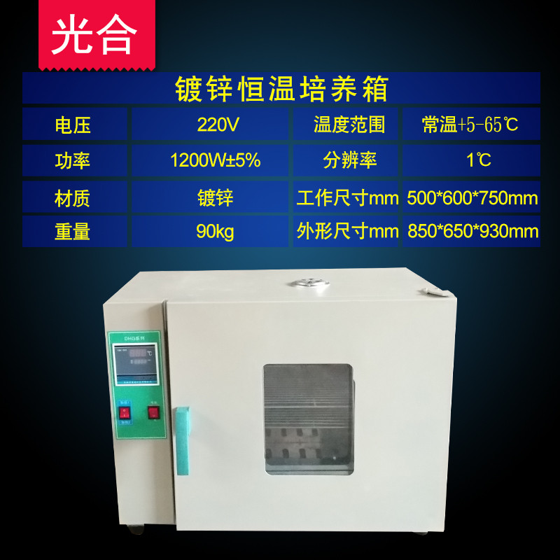 洋子（YangZi）镀锌电热恒温培养箱微生物霉菌培养箱种子发芽箱催芽箱 303-4镀锌内胆