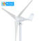 洋子（YangZi）600W风力发电机400W/500W小型路灯家用照明风力发电机24V 24V400W