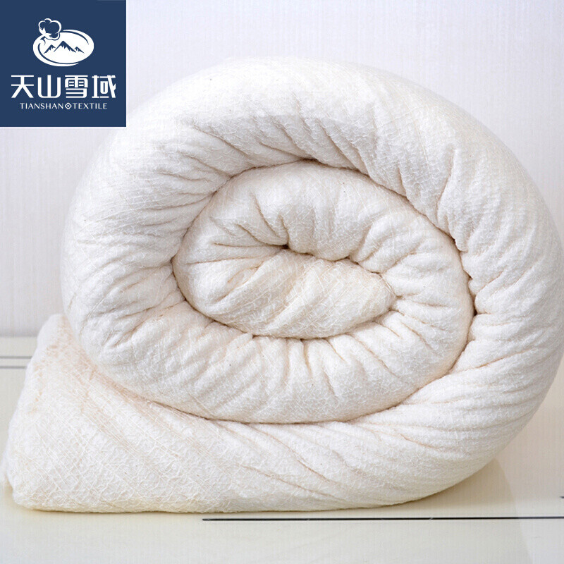 天山雪域 被子纯棉新疆棉花被3斤全尺寸同价 1.8*2.2m标准双人 有网3斤