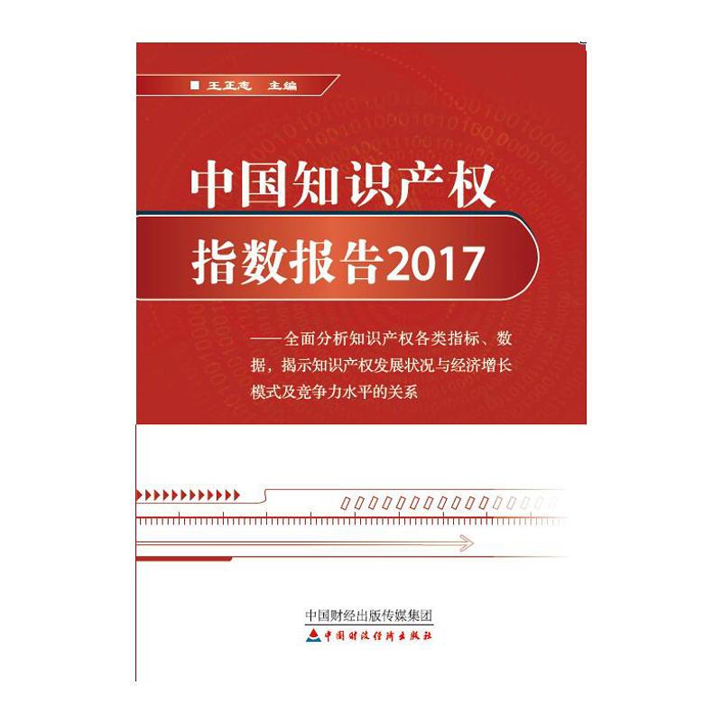 中国知识产权指数报告2017