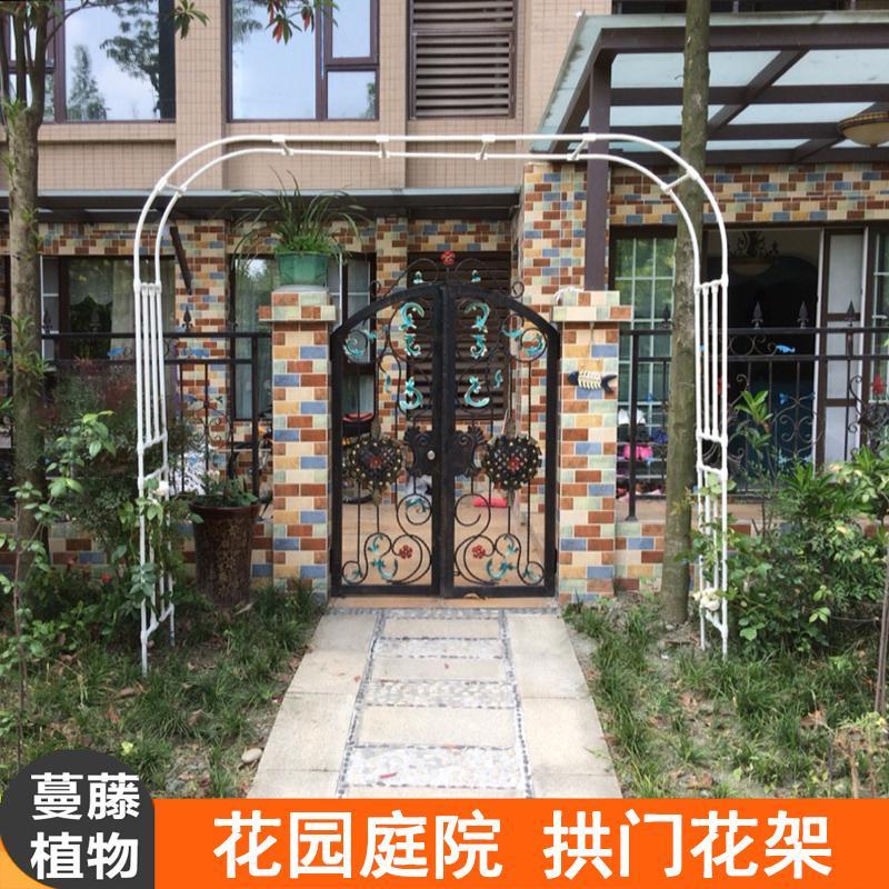 拱门爬藤花架铁线莲架子鲜花爬藤架蔷薇花架月季花架攀爬架_1 宽3.2米*高2.4米白色
