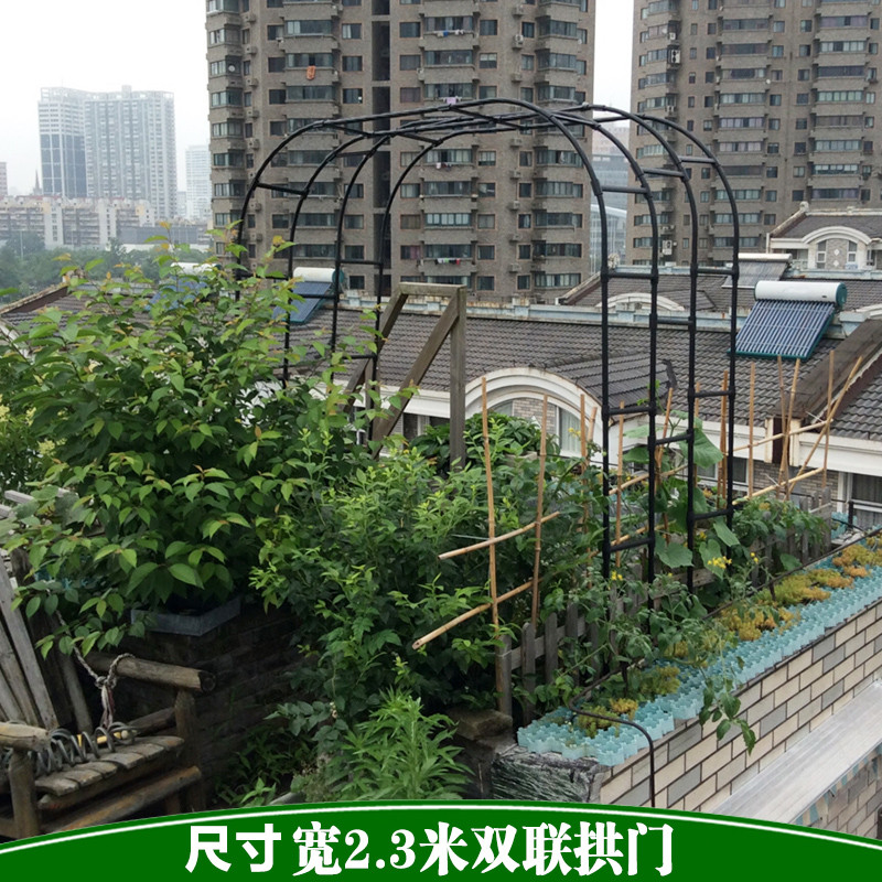 鲜花拱门欧式拱门花架铁线莲月季花支架爬藤架植物拱门花支架_5 双联宽2.3米*高2.4米黑