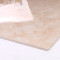 广东佛山地砖客厅走廊卧室地板砖工程用砖耐磨耐污800金刚石 800*800 KG0821