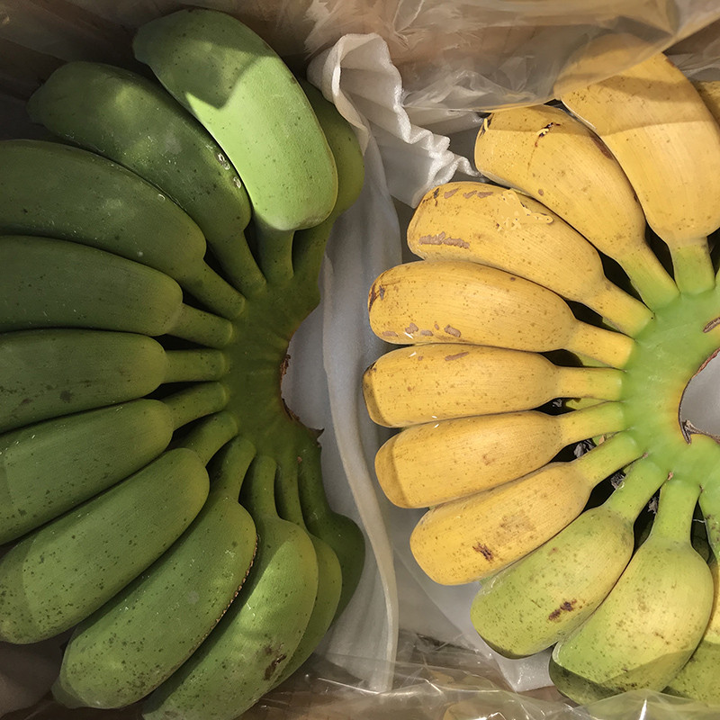 1号鲜客 广西小米蕉5斤 香蕉 新鲜水果