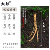 权禄 鲜人参 10g