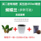 蝴蝶兰花苗盆栽苗室内外花卉绿植办公桌面鲜花君子兰带花苞兰花_2 大富贵