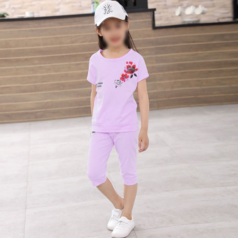 女童夏装两件套中大童小女孩衣服休闲运动套装儿童短袖童装夏简约小清新婴童短袖上衣和裤子套装 120号适合110-120 浅紫色
