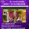 经科JK电动拉线投影幕布M3-FL/300s拉绳正投软幕150寸16:10