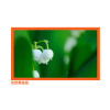 经科JK画框投影幕布投影机投影仪中边框N4-AT/W1透声白幕180寸4:3