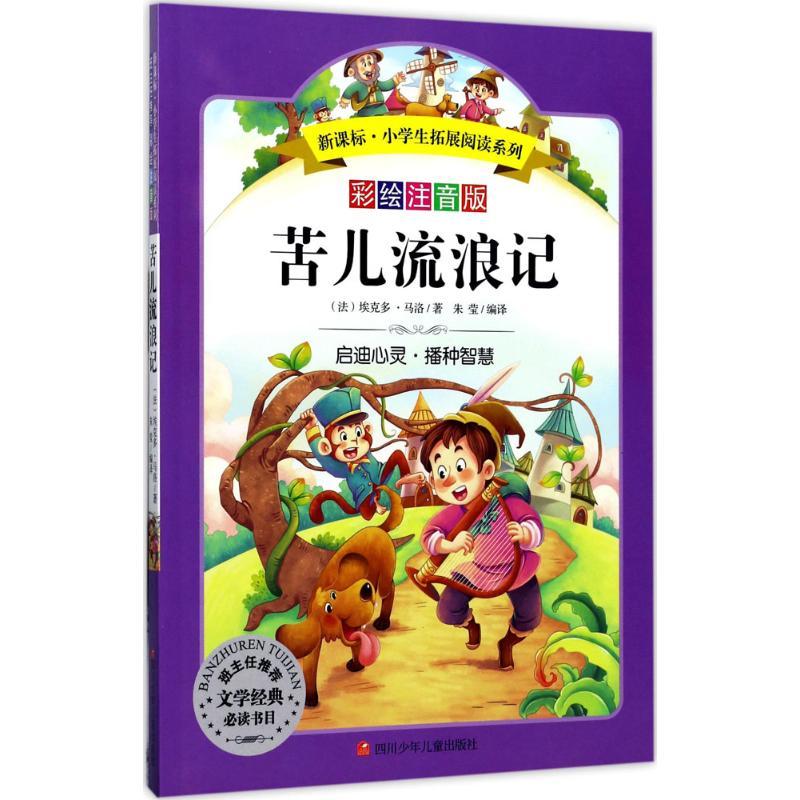 苦儿流浪记