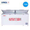 星星（XINGX）BD/BC-716E 716升 单温 冰柜 卧式冷柜 商用大冷柜 直冷顶开门 电脑控温 温度显示