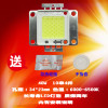 成越全新华视 40W LED投影机灯泡投影仪灯泡