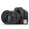 【官方授权】闪迪(SanDisk)SD卡128G SDXC高速C10 松下佳能单反相机存储卡128G 读取140M