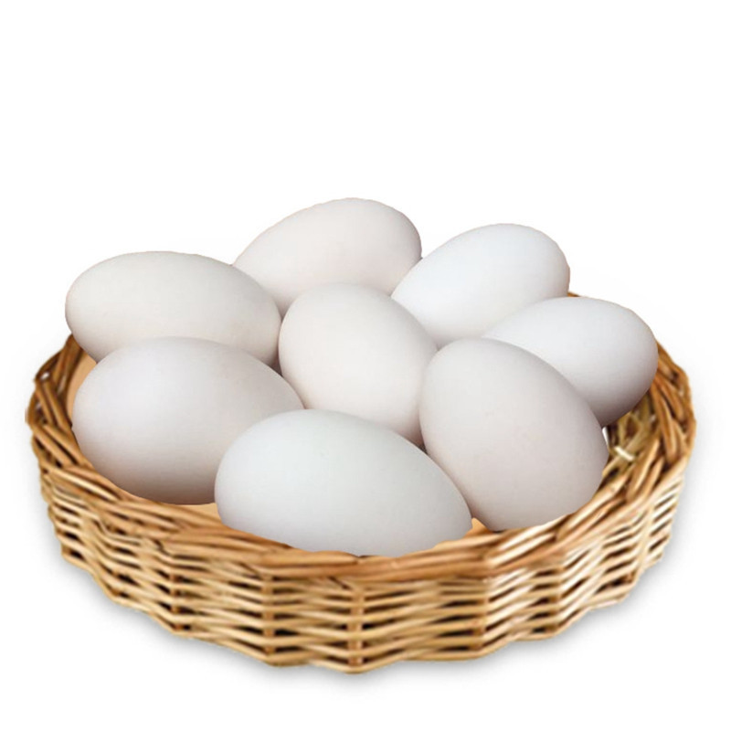 鹅蛋 老鹅蛋 处子草鹅蛋 草鹅蛋 新鲜土鹅蛋 大白鹅蛋 18枚装（毎枚130-150g）