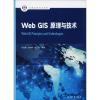 Web GIS原理与技术