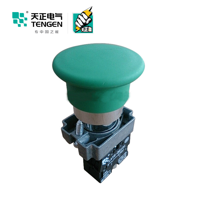 天正电气 LAY5 40mm蘑菇头按钮 1NO 复位型 绿色 金属 08010120177 按钮 绿色 蘑菇头按钮