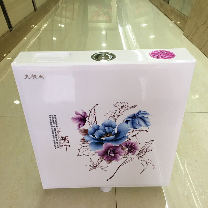 便盆冲水箱水箱浴室便盆冲水箱卫生间蹲坑水箱 瓶中款+40公分进水管