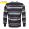 JEEP/吉普男士美式休闲修身版圆领条纹长袖针织衫 JW15KS108 180/115 紫色Q6