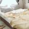 宜米家居 珊瑚绒毛毯被子加厚空调毯法莱绒毯子办公室午睡毯 单双人薄款 1.0*1.2m 石榴红毯