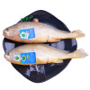 三都港(SANDUGANG) 冷冻三去无公害黄花鱼 大黄鱼 700g 2条 袋装 海鲜水产