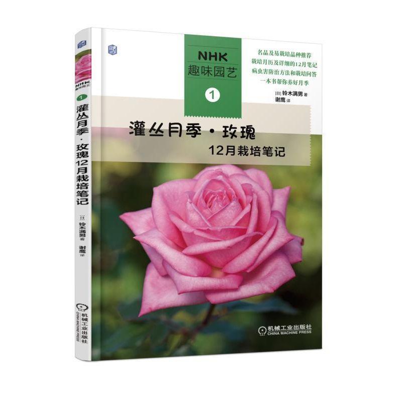 灌丛月季.玫瑰12月栽培笔记