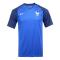 NIKE耐克男装18夏新款运动休闲欧洲杯足球速干短袖T恤球衣 M 724615-439