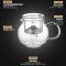 KAMJOVE/金灶 明尊 飘逸杯弹压式茶道杯耐热玻璃茶具花茶杯过滤泡茶壶茶杯 EC-21