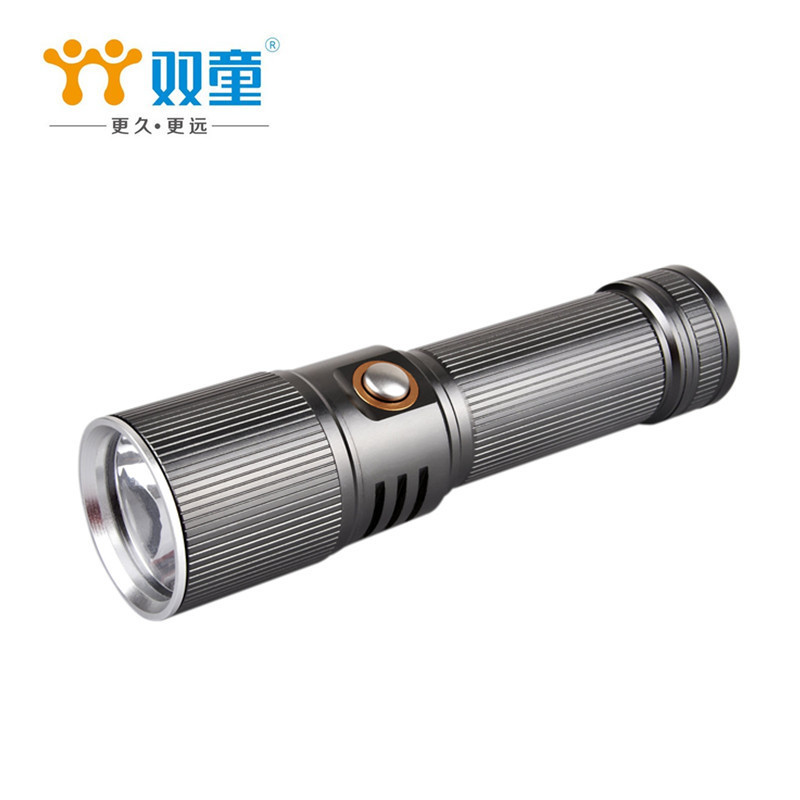 双童 铝合金 10W 强光 LED手电筒 充电 远射800米骑行 2212（单位：个）