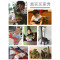 ?超大号仿真软胶恐龙玩具霸王龙模型套装儿童动物3-6岁男孩玩具_1 超大号【三角龙】带叫声颜色随机