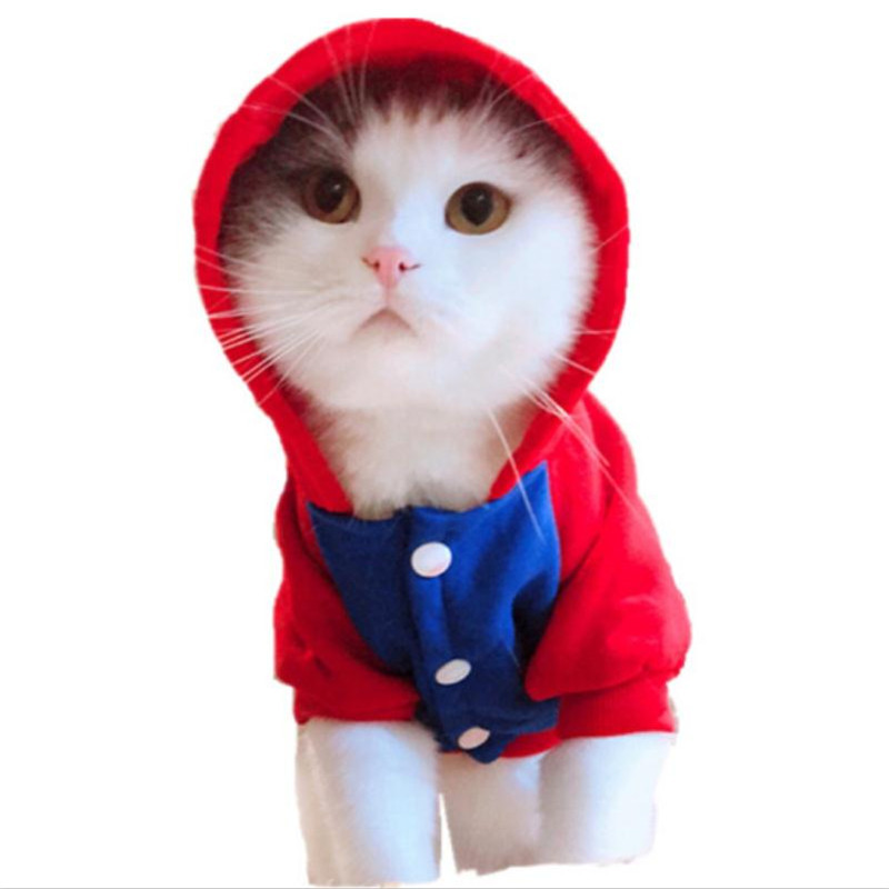 猫猫衣服狗狗衣服冬装泰迪宠物衣服猫咪衣服秋冬小猫衣服英短猫咪用品 XL(适合9-10斤的猫咪) 蓝色超人
