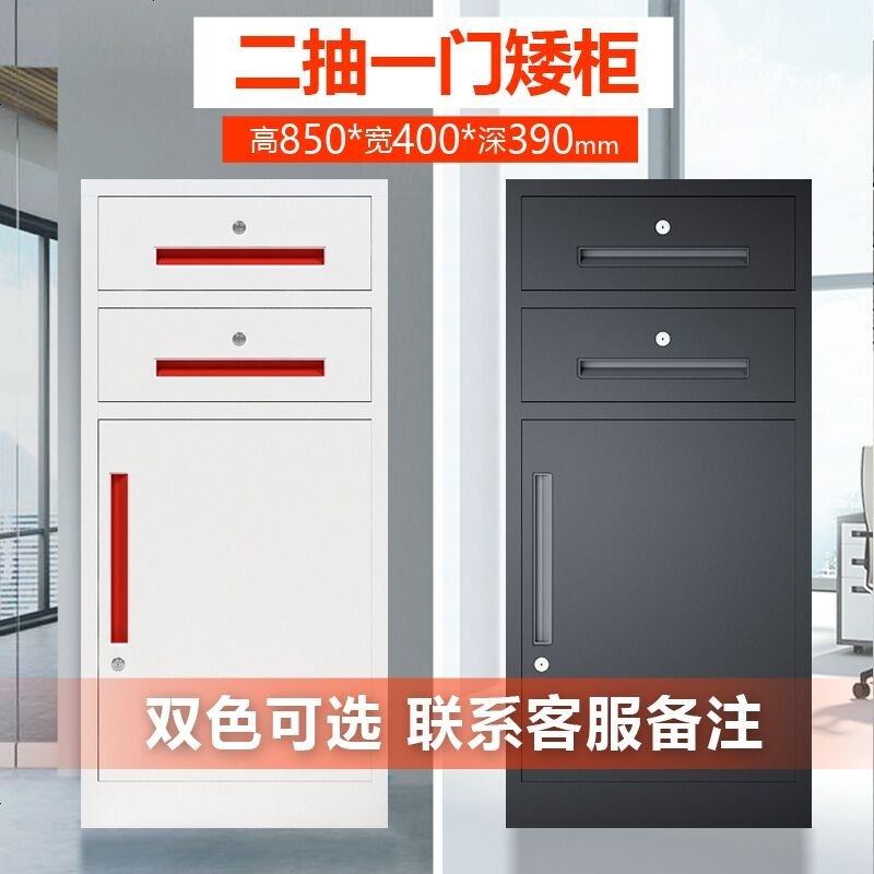 办公文件柜铁皮柜档案柜a4资料柜凭证柜书柜矮柜储物柜带锁小柜子_808_55 二抽一_柜_0.8mm
