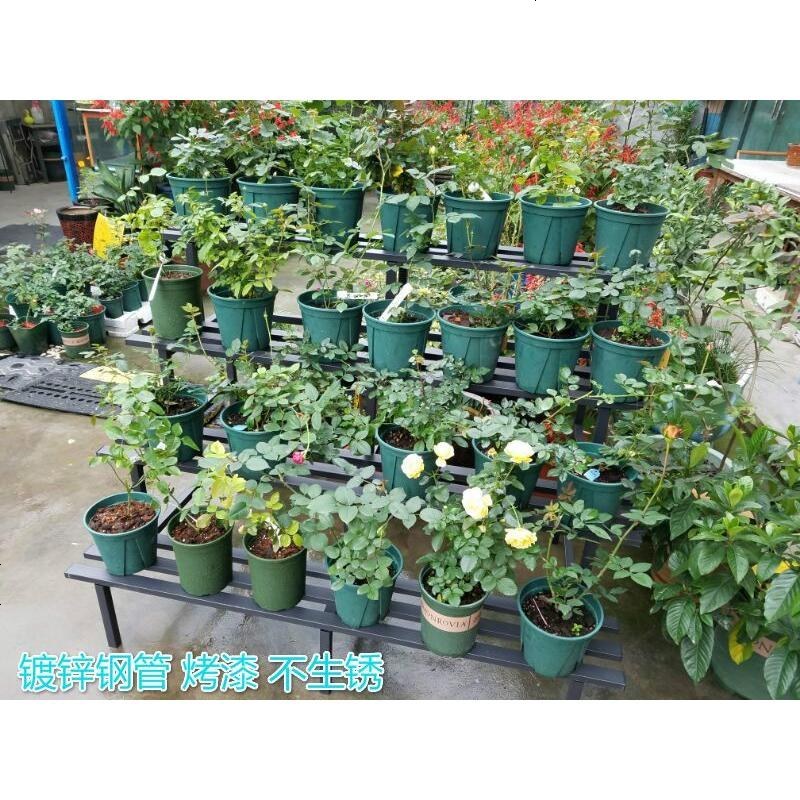 室内外铁艺花架长方形落地式多层阶梯花架不锈烤漆绿萝多肉花架_342_674 3层140长60宽75高白