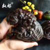 权禄长白山紫灵芝整枝500g
