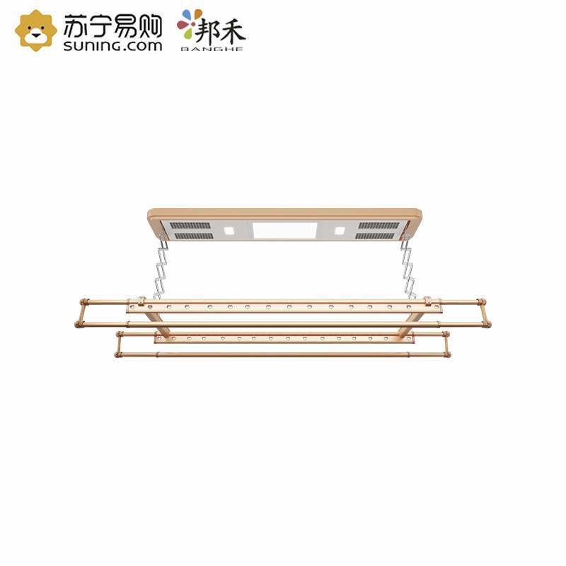电动晾衣架 阳台升降晒衣架自动智能遥控晾衣杆伸缩晾衣架晾衣机 901G2.4米四杆+烘干风干消毒+LED灯(玫瑰金)