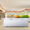 海尔（Haier） BC/BD-1028T 1028升 卧式冷柜 冰柜 顶开门 大容量 商用冰柜