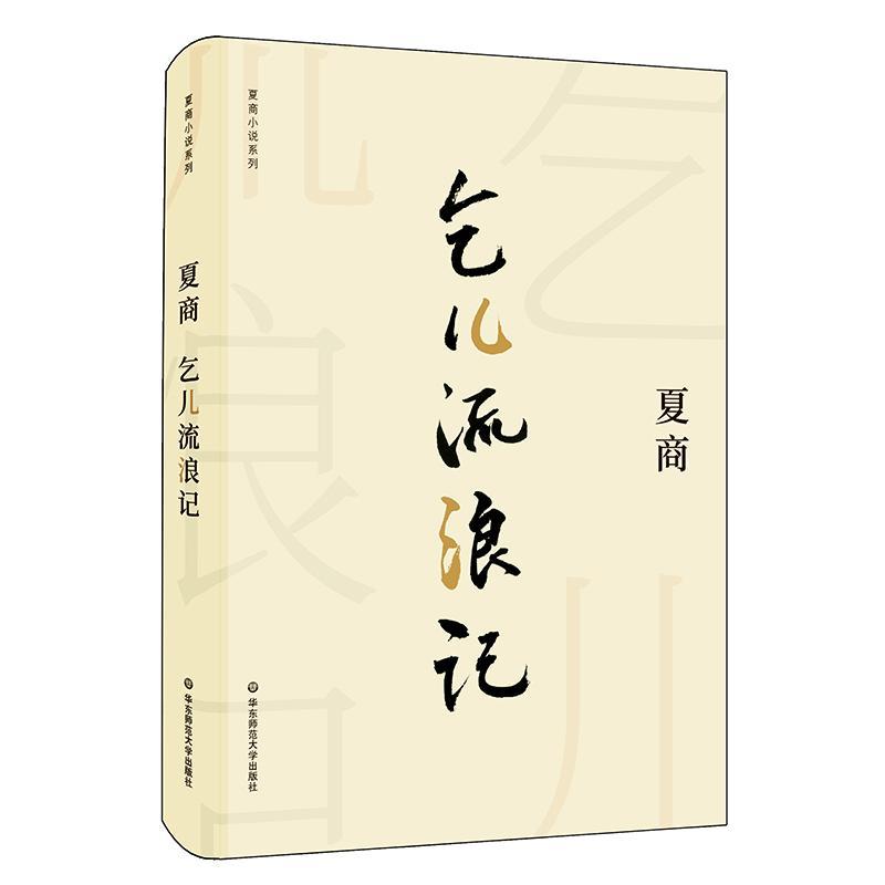 乞儿流浪记