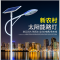 太阳能路灯LED户外灯5米6米锂电池新农村建设一体化道路灯高杆灯_9 5米30瓦(飞利浦灯芯)高配全套