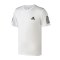 adidas男服短袖T恤网球climacool跑步健身运动服DP2875 L 白色+黑色