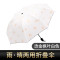 灵孜格 太阳伞小黑伞 女防晒防紫外线黑胶女神折叠晴雨伞两用遮阳伞 烫金枫叶白色